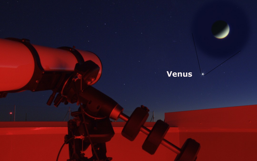 Venus brillando en el horizonte